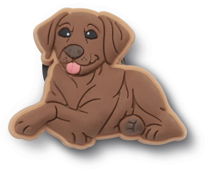 

Джиббитсы Brown Lab Puppy Crocs