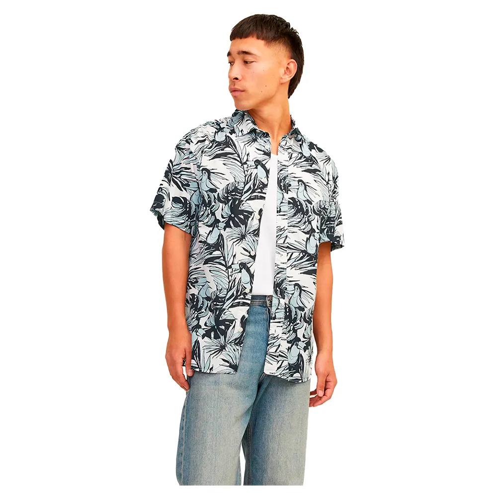 

Рубашка Jack & Jones Joshua Aruba Aop, разноцветный