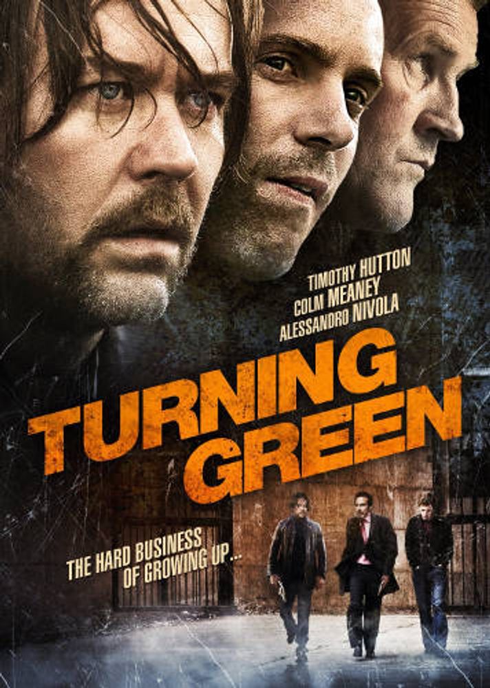 

Диск DVD Turning Green