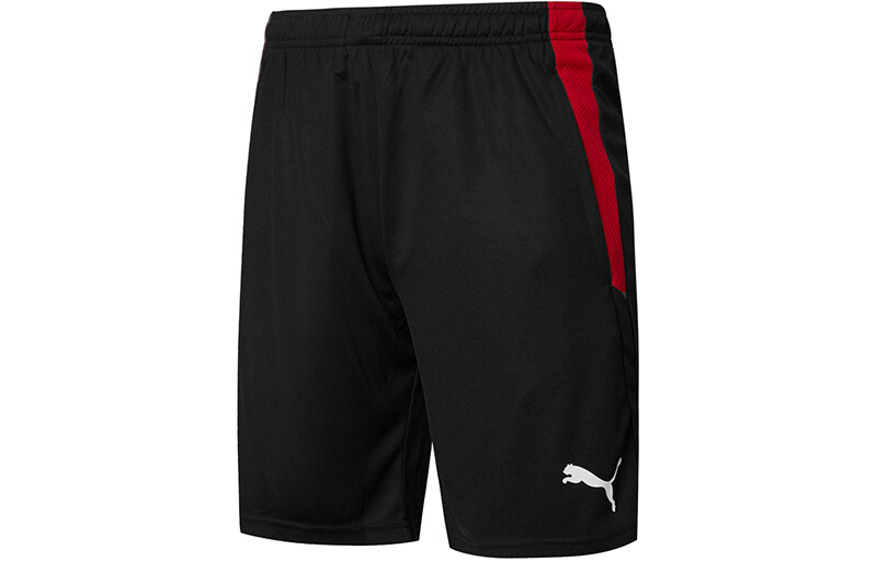 

Мужские повседневные шорты Puma, цвет Black