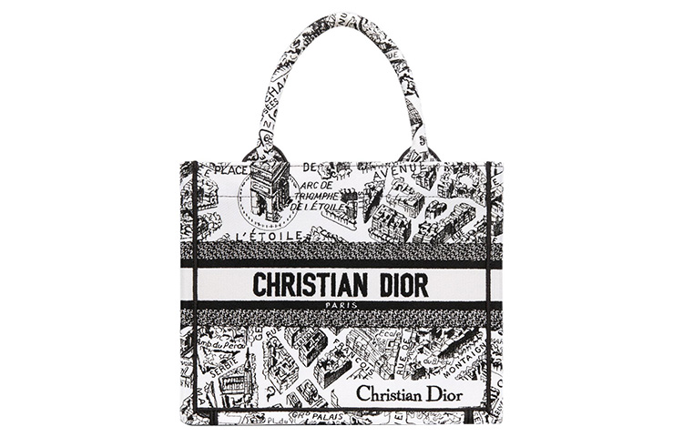 

DIOR Вышитая сумка-шоппер, шоппинг-сумка, маленькая женская сумка белый/черный