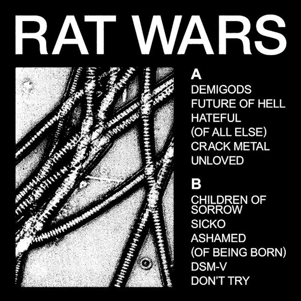 

Виниловая пластинка LP RAT WARS [Translucent Ruby Vinyl] - Health