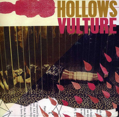 

CD диск Hollows: Vulture