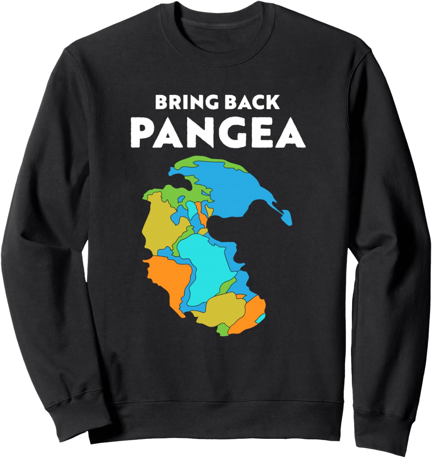 

Забавная толстовка с географическим принтом «Вернись домой с Пангеей» Funny Pangaea Gift Ideas, черный