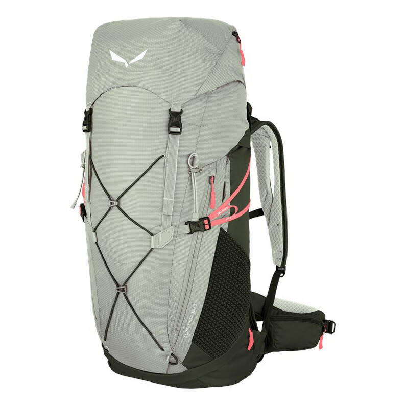 

Рюкзак Alp Trainer 35+3 Salewa, серый