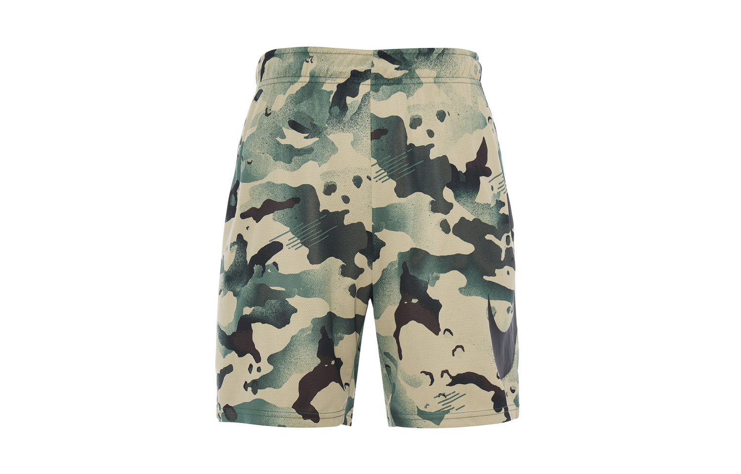

Мужские повседневные шорты Dri Fit Sequoia Green Nike