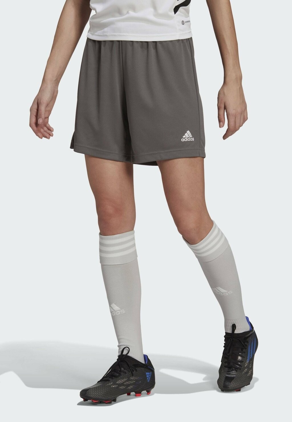 

Спортивные шорты ENTRADA 22 adidas Performance, цвет grey