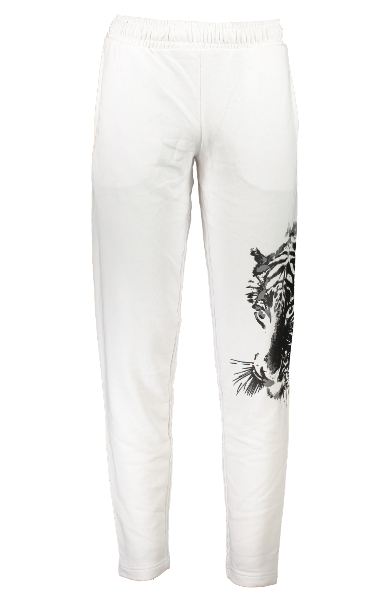 

Брюки мужские Cavalli Class спортивные, белый