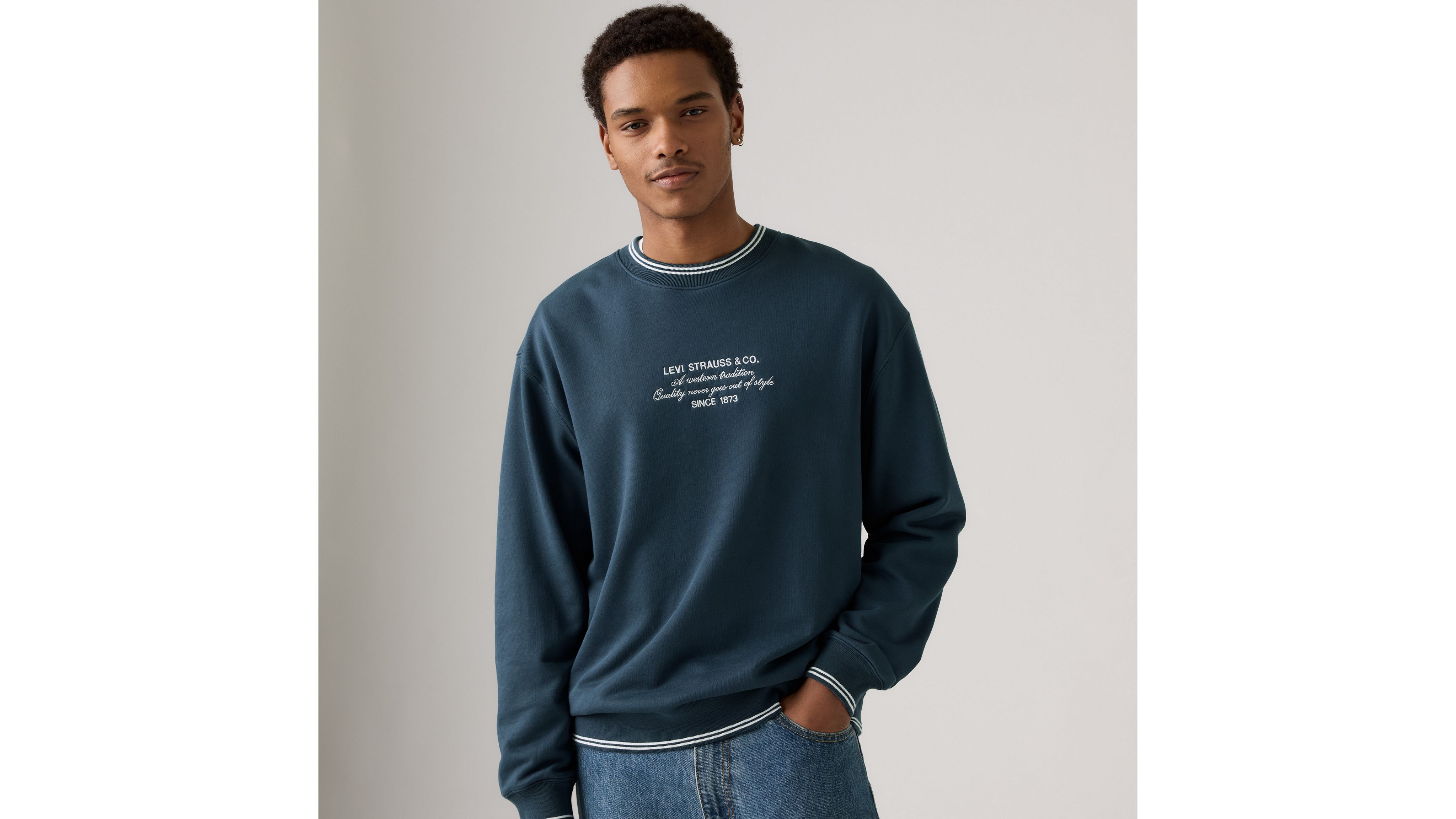 

Толстовка с круглым вырезом и вышитым рисунком Levi's, Archival Script Big Dipper - Blue