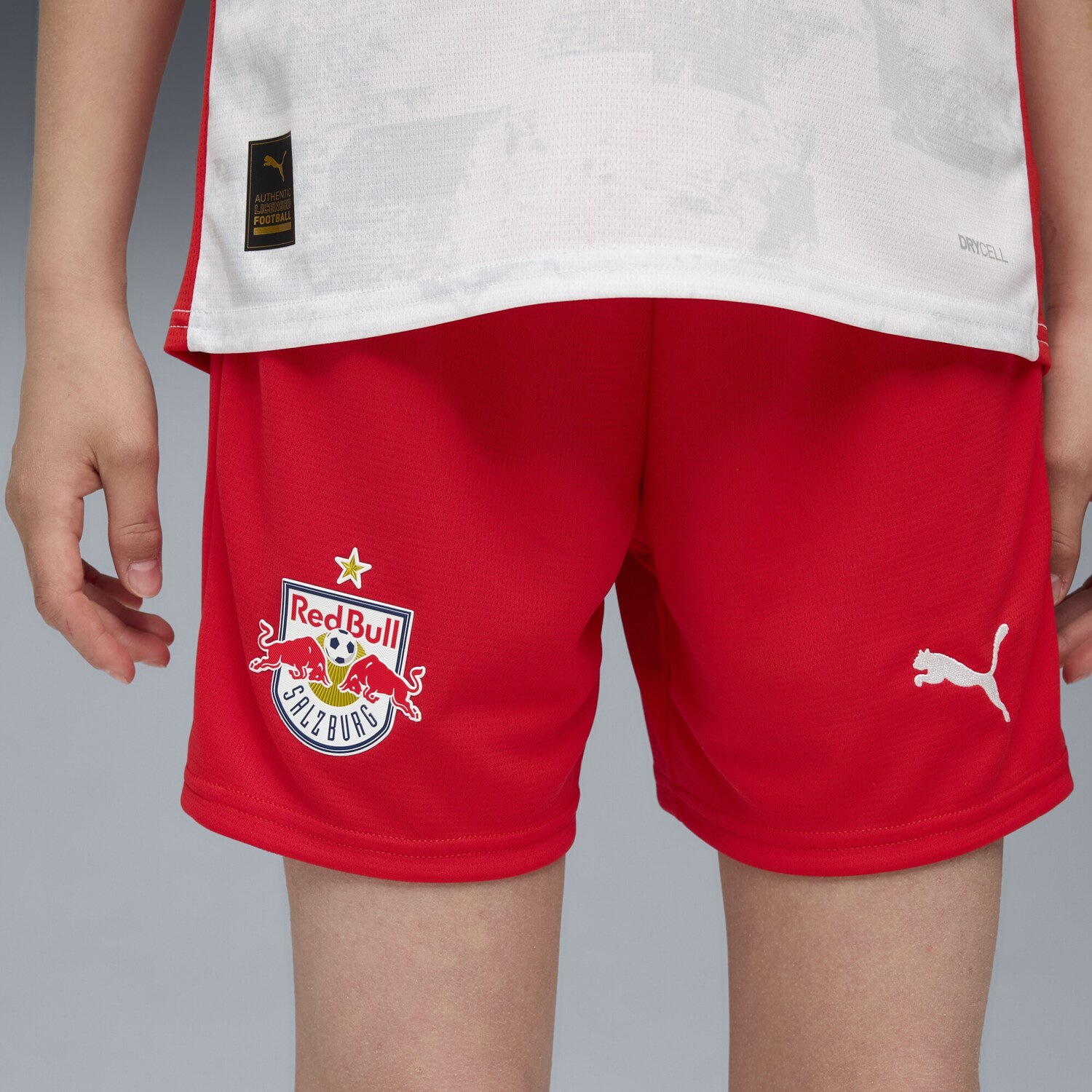 PUMA Шорты для тренировок Regular 'FC Red Bull Salzburg 25/26' в красном цвете — фото 4