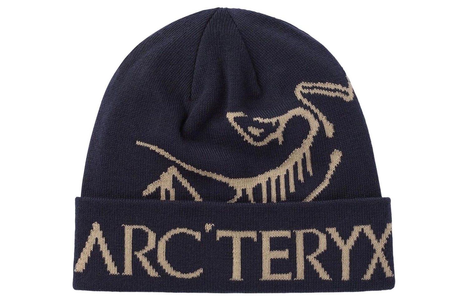 

Шапка унисекс Arcteryx, темно-синий