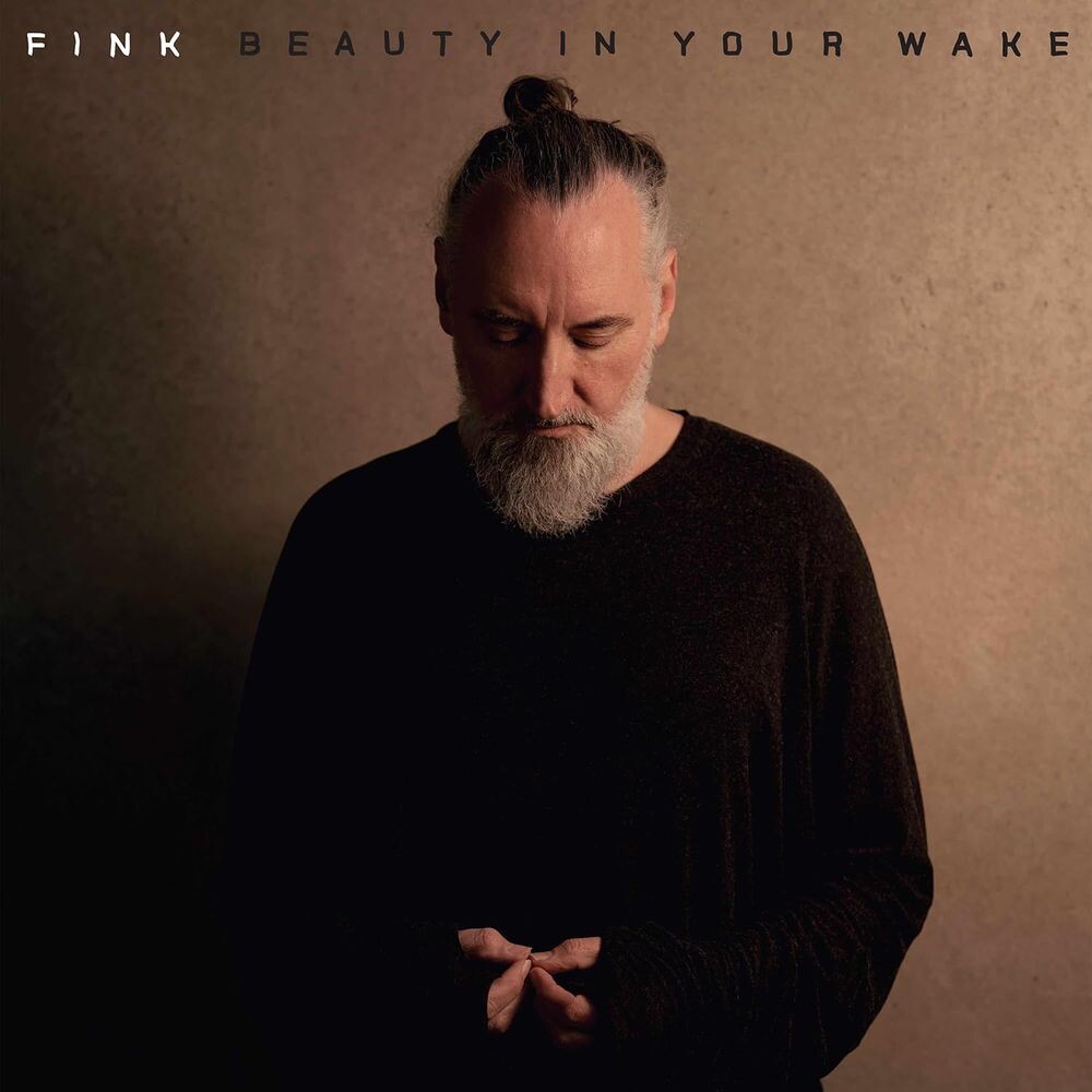 

Диск CD Beauty In Your Wake - Fink