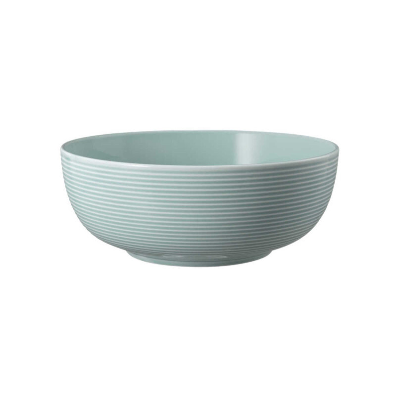 

Миска для еды Beat Arctic Blue 20 см Seltmann Weiden, синий