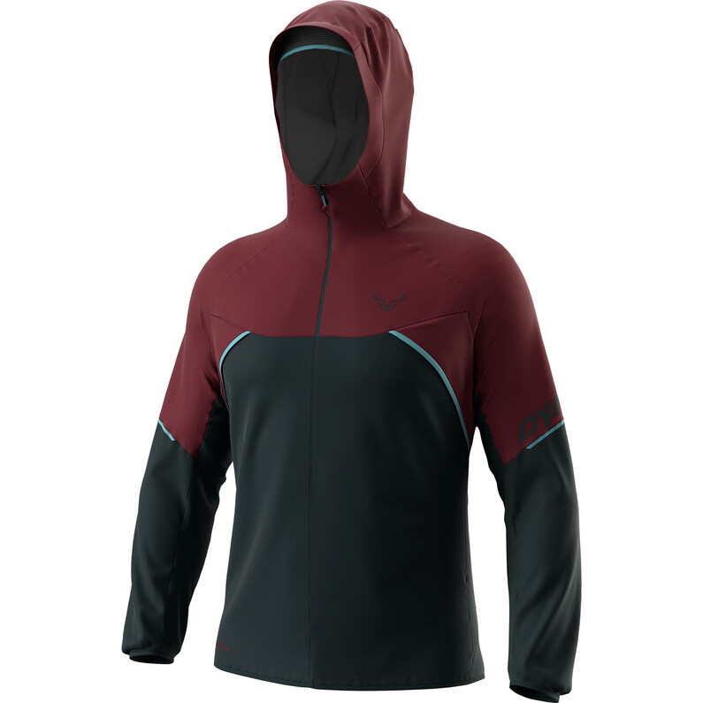 

Мужская куртка Alpine GTX Dynafit, фиолетовый
