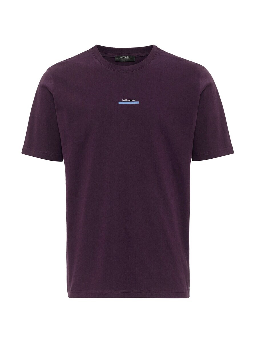 

Классическая футболка Antioch Shirt, цвет plum