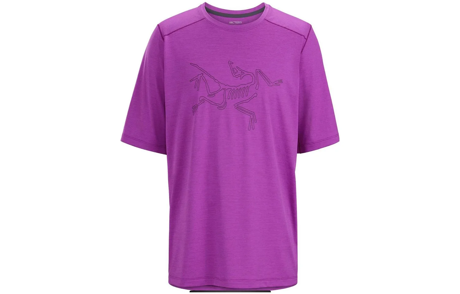 Футболка мужская CORMAC Quick Dry Arcteryx, Groovie Purple Gray