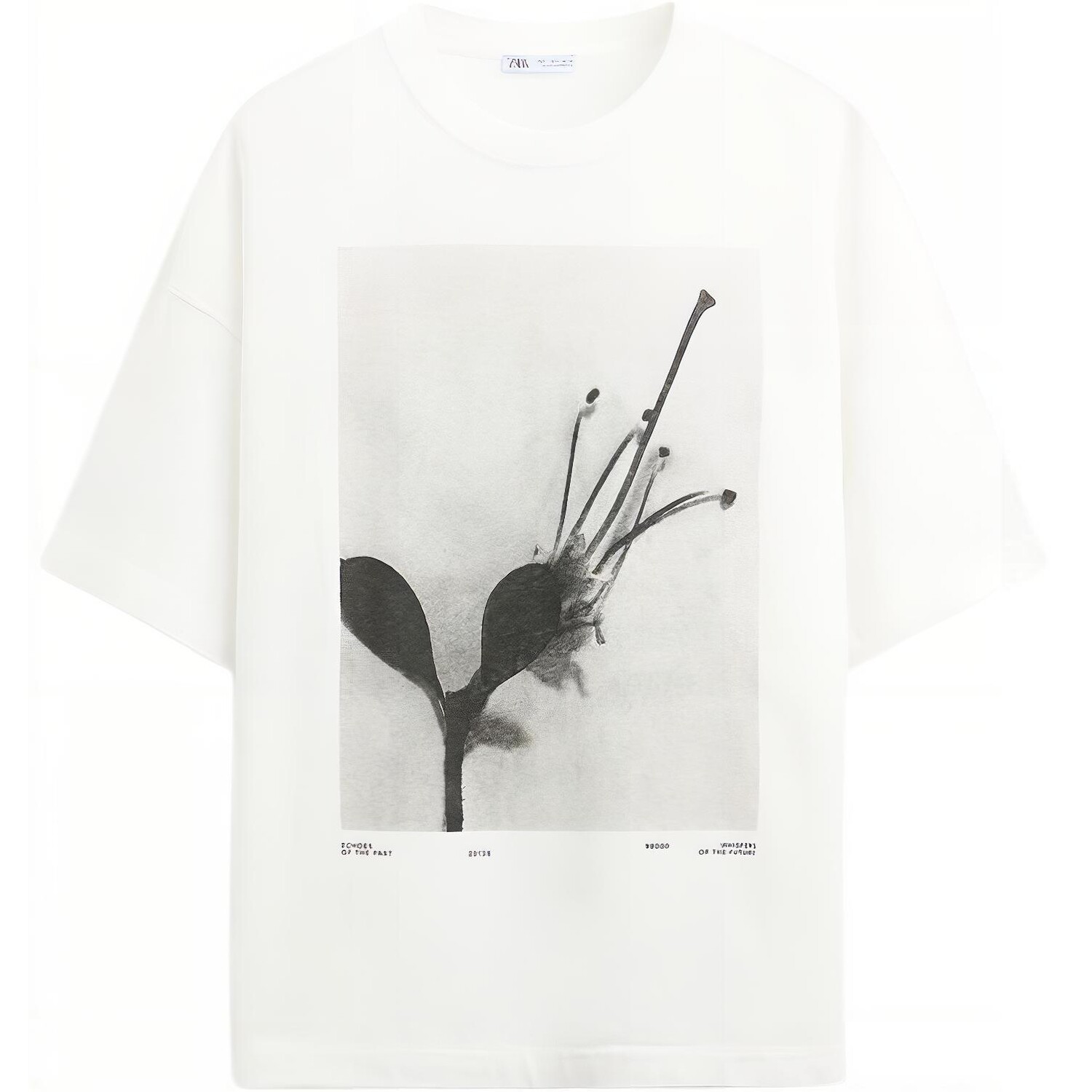 

Футболка мужская белая Zara, белый