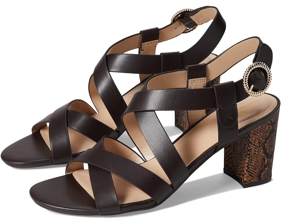 

Туфли Bandolino Desty 3, цвет Dark Brown 4