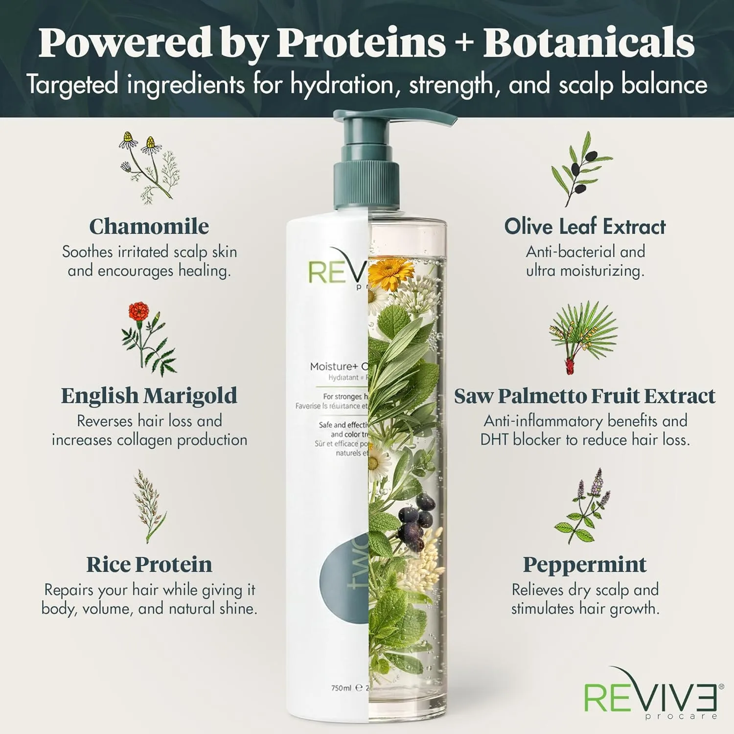 Reviv3 Procare Prime Moisture & Conditioner - кондиционер для окрашенных волос и здоровой кожи головы, уменьшает ломкость и пушистость, 720 мл 751 мл (.), Olive — фото 3