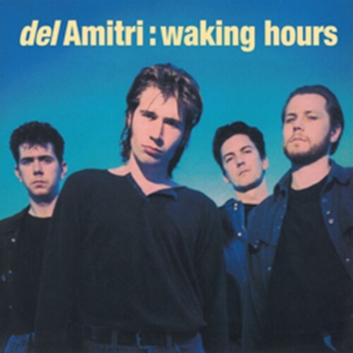 

Виниловая пластинка Del Amitri: Waking Hours - Blue Vinyl