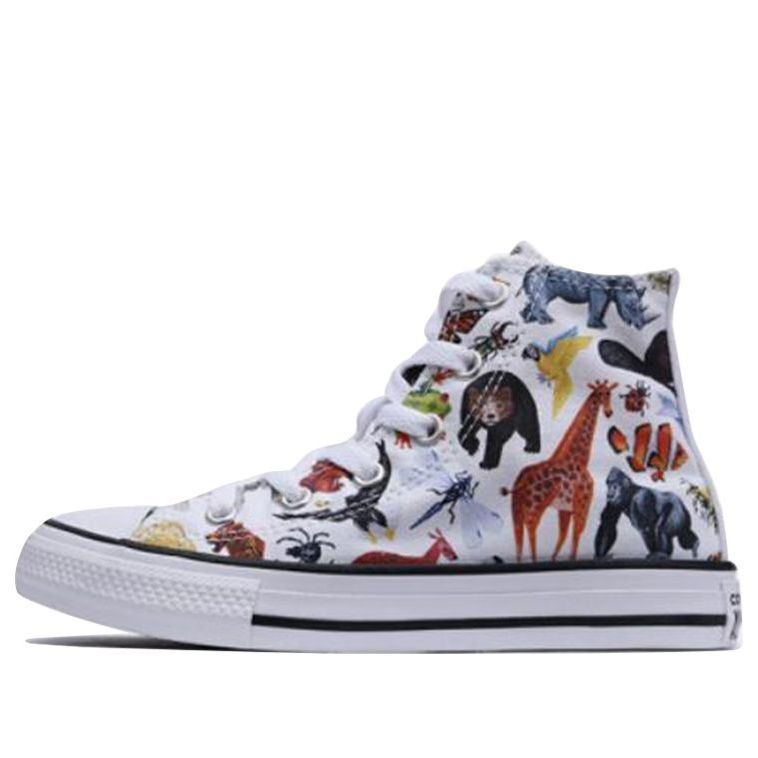 

Кеды Converse Chuck Taylor All Star Science Class Hi, разноцветный
