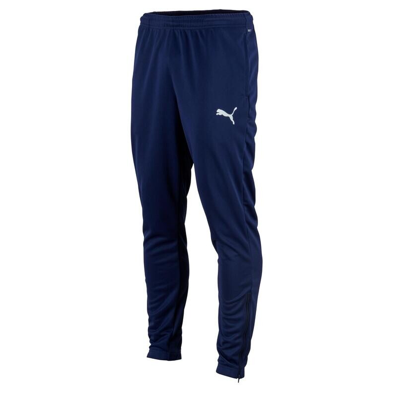 

Спортивные брюки Puma Teamrise Poly, синие для взрослых