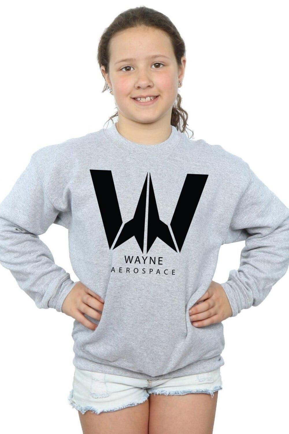 

Толстовка из фильма «Лига справедливости» Wayne Aerospace DC Comics, серый