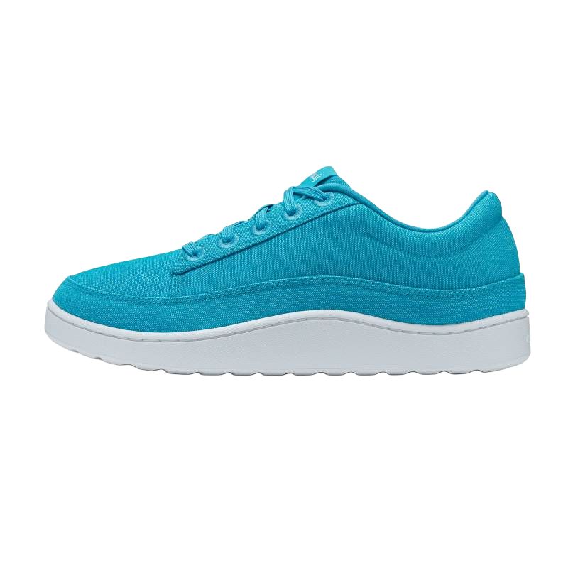 

Allbirds Кроссовки для скейтбординга Canvas Pacer Low Top, мужские, цвет Water Duck, синие