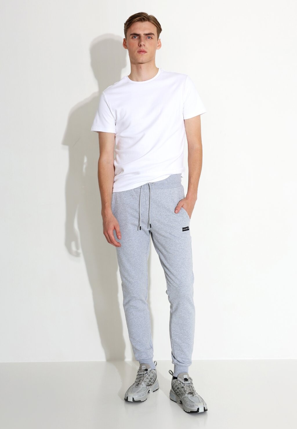 

Спортивные брюки EVERYDAY COMFORT JOEL Carlheim, цвет grey