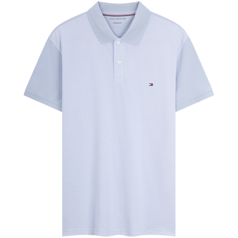 

Футболка мужская Tommy Hilfiger, светло-голубой, Синий, Футболка мужская Tommy Hilfiger, светло-голубой