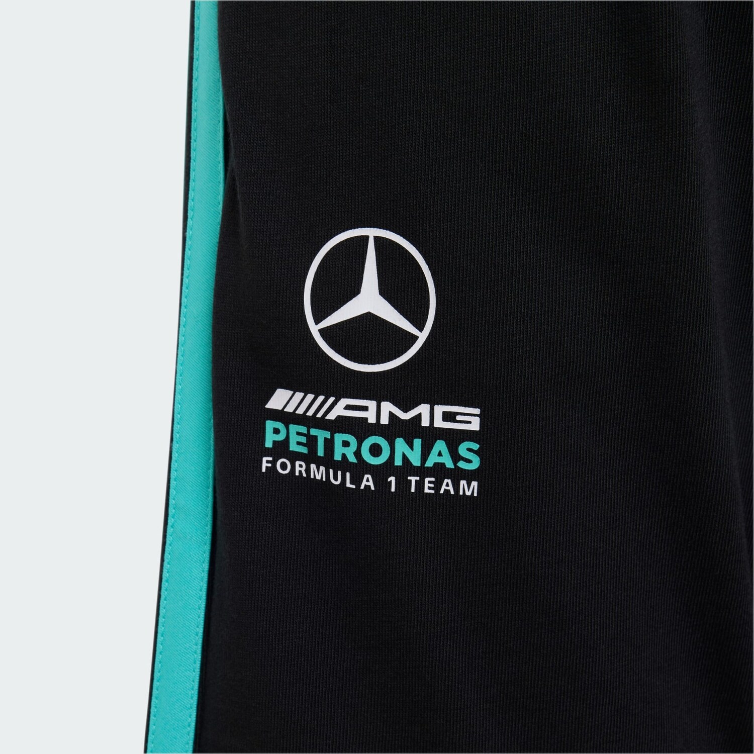 Adidas Performance Штаны для тренировок Regular 'Mercedes-AMG Petronas Formula 1' в черном цвете — фото 4