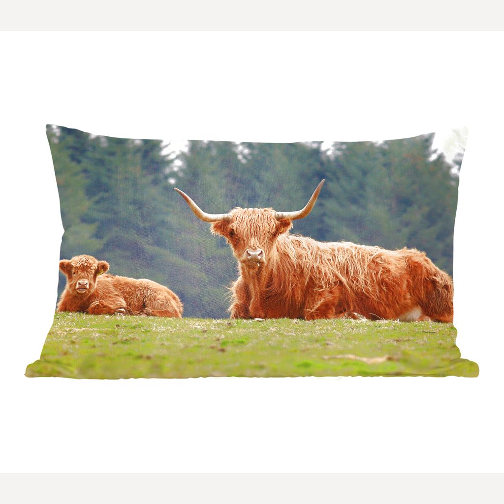 

MuchoWow Scottish Highlander - Мать и теленок Scottish Highlander - 50x30 см - чехлы на диванные подушки - без наполнителя