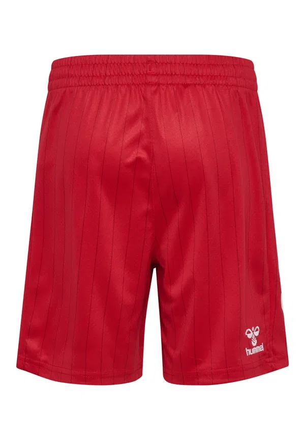 Шорты детские Hummel Dbu 26 away shorts kids national team wear, танго красный — фото 2
