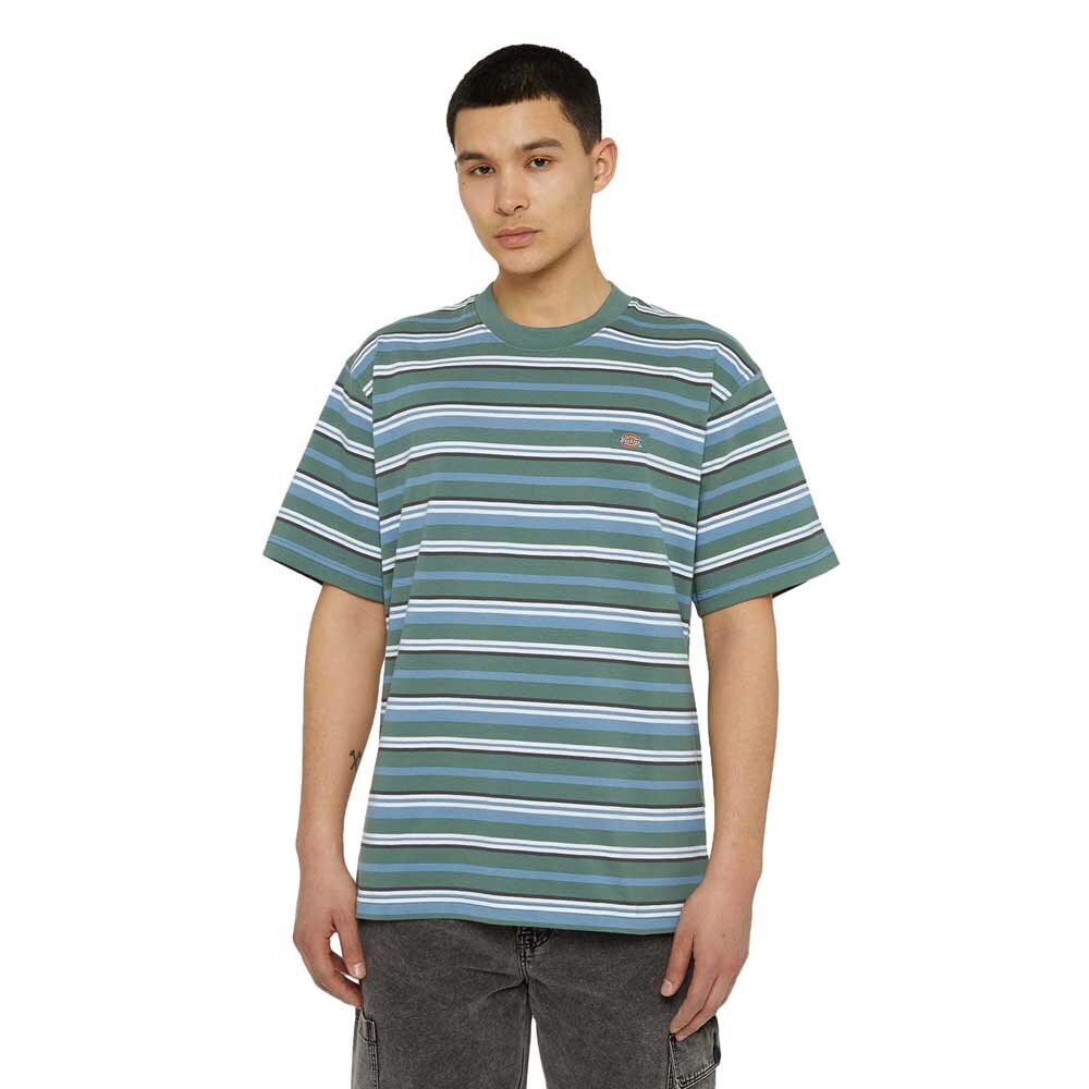 

Футболка с коротким рукавом Dickies Glade Spring, зеленый