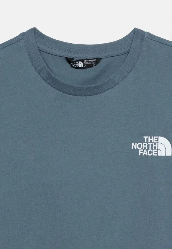 Футболка унисекс с принтом The North Face, Granite Grey — фото 3