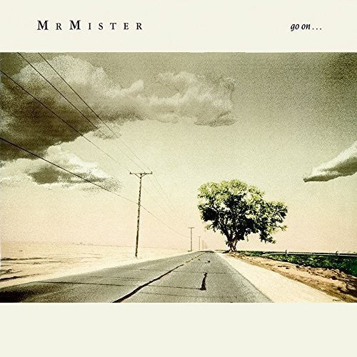 

CD диск Mr Mister: Go on