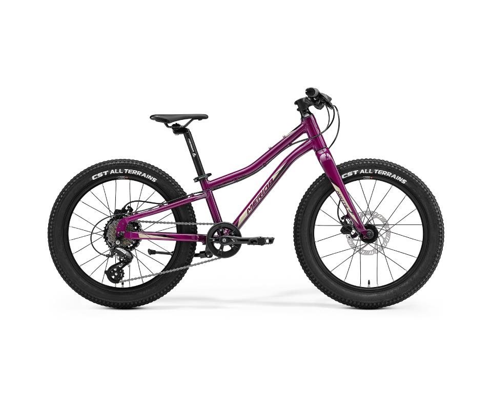 

Детский велосипед Merida Matts J 20+, фиолетовый