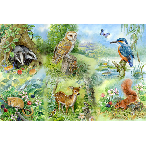 

Пазлы Nature Study Big 250 Puzzle