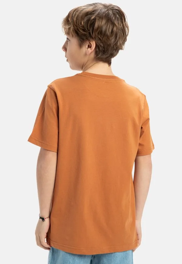 Футболка с принтом ev shape all days Quiksilver, Orange — фото 3