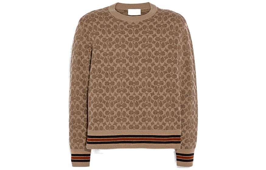 

Свитер мужской коричневый COACH