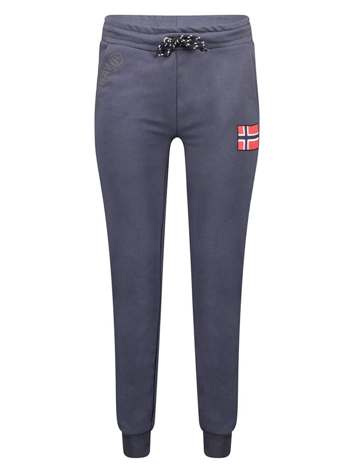

Спортивные штаны Geographical Norway, серый