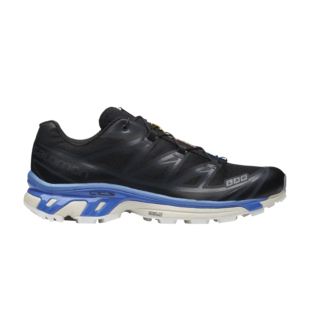 Кроссовки XT-6 Clear Salomon, черный