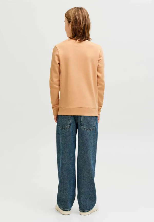 Толстовка jjelogo с круглым вырезом, двухцветная, весна-лето 2026 Jack & Jones Junior, Beach Sand — фото 3