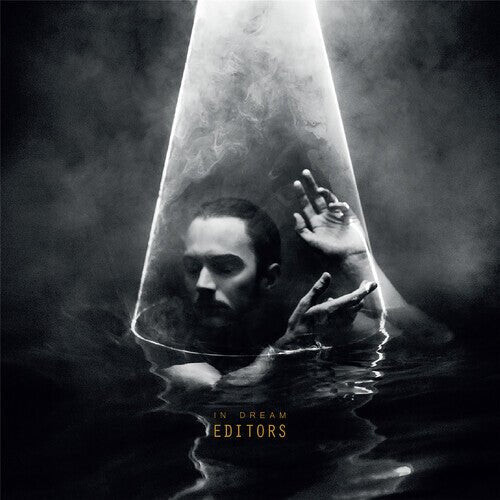 

Виниловая пластинка Editors - In Dream