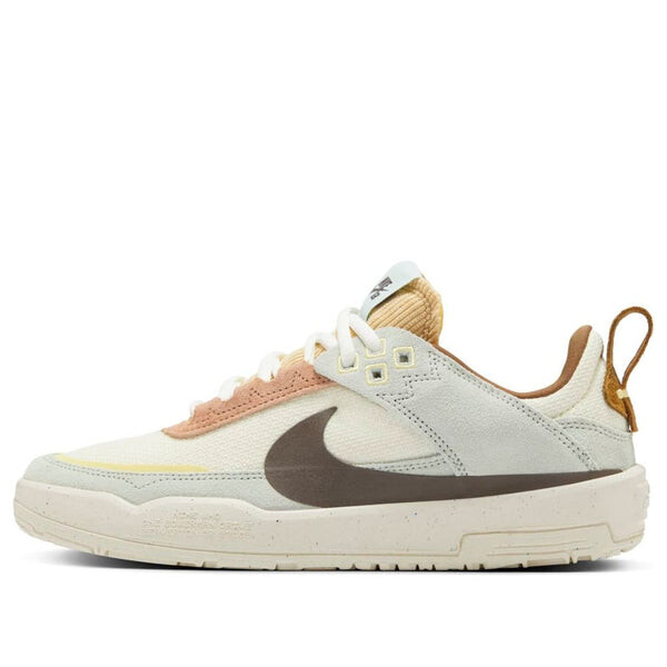 

Кроссовки sb day one 'coconut milk baroque brown' Nike, мультиколор