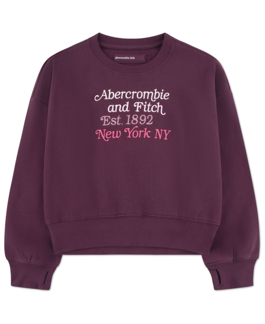 

Детская разноцветная толстовка с круглым вырезом и логотипом abercrombie kids, Purple