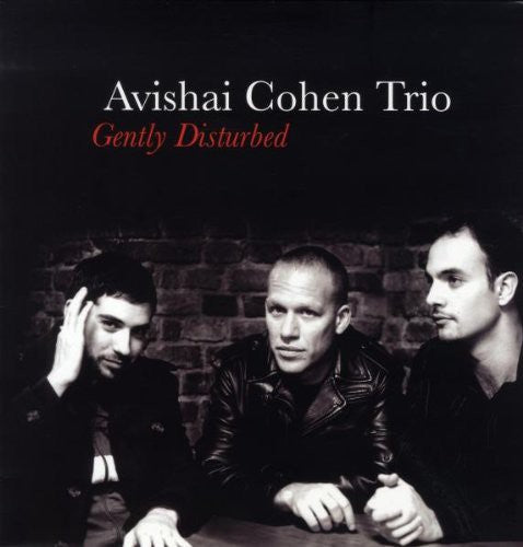 

Виниловая пластинка Cohen, Avishai: Gently Disturbed