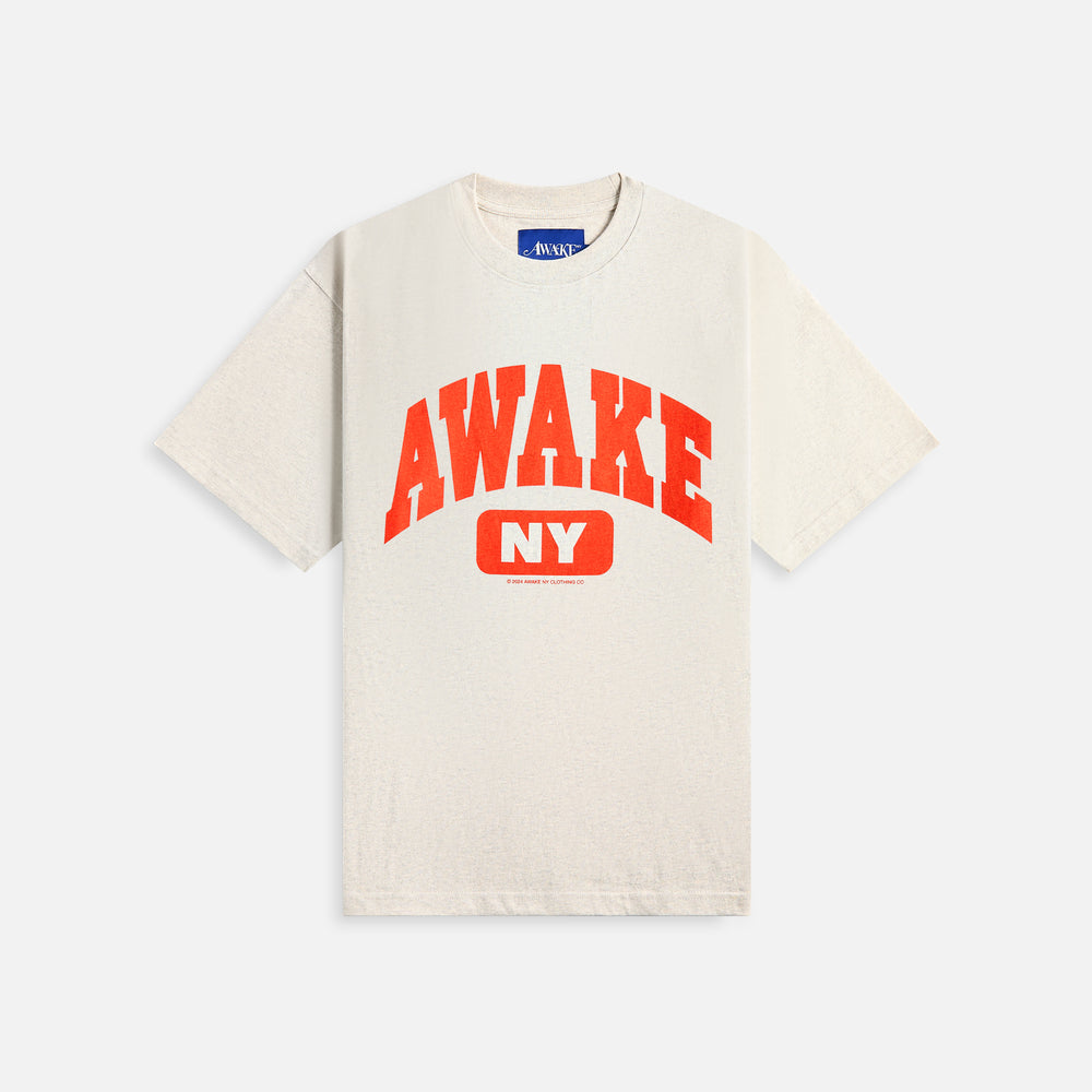 

Футболка Awake NY Varsity Tee, цвет Charcoal Heather