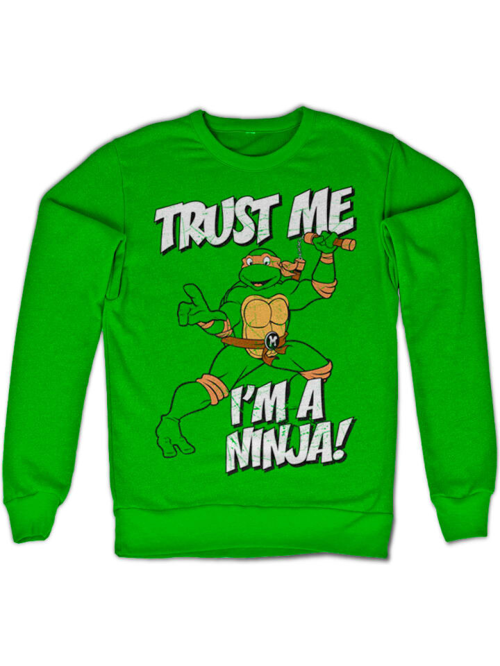 

Пуловер Teenage Mutant Ninja Turtles, зеленый