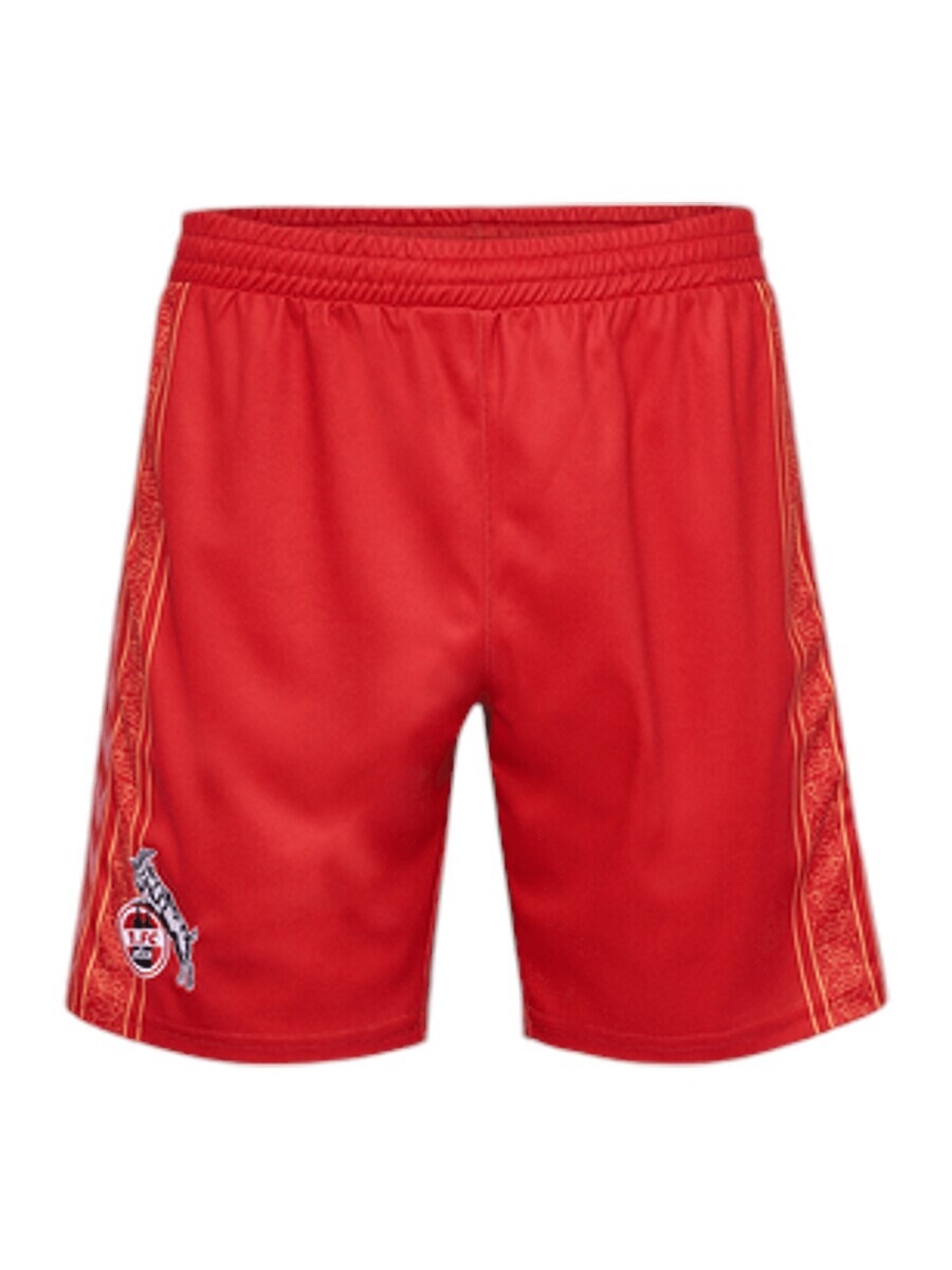 

Шорты Hummel Regular Workout Pants, красный